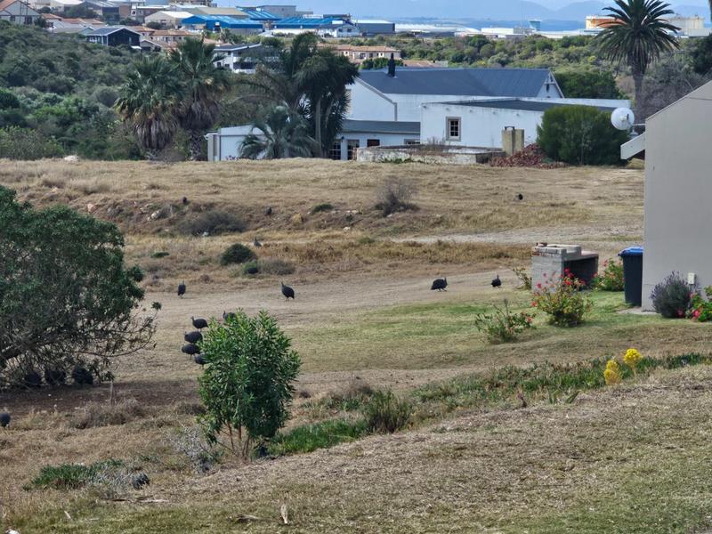 0 Bedroom Property for Sale in Vakansieplaas Western Cape